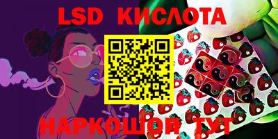 PSILOCYBIN Новодвинск