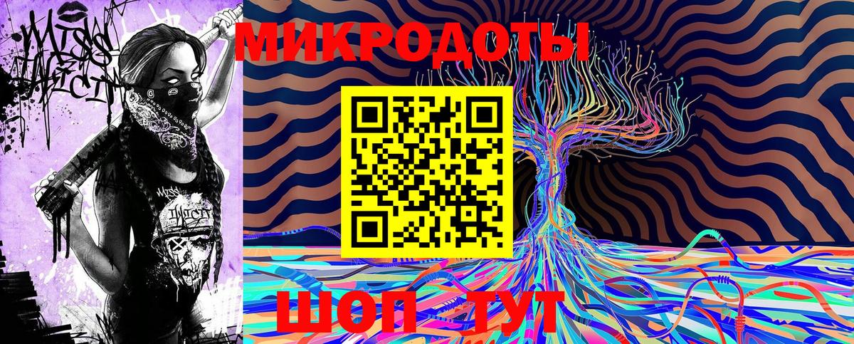 Псилоцибиновые грибы Psilocybine cubensis Симферополь